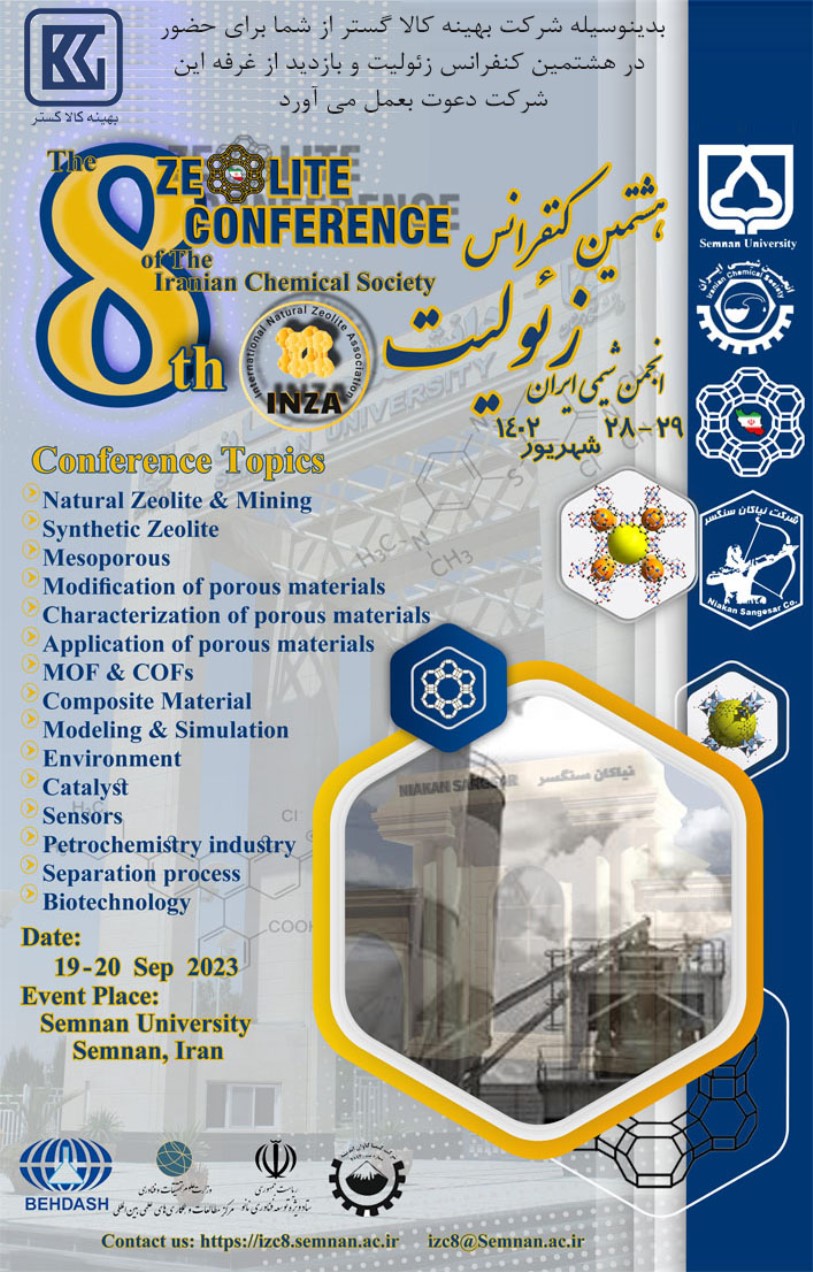 The 8 Zeolite Conference
